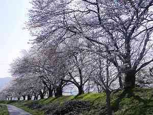 20110413odani (1).jpg